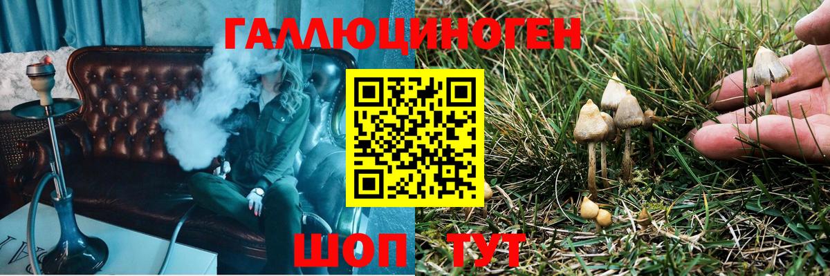 Галлюциногенные грибы Psilocybe  Вход с VPN  Кудрово 