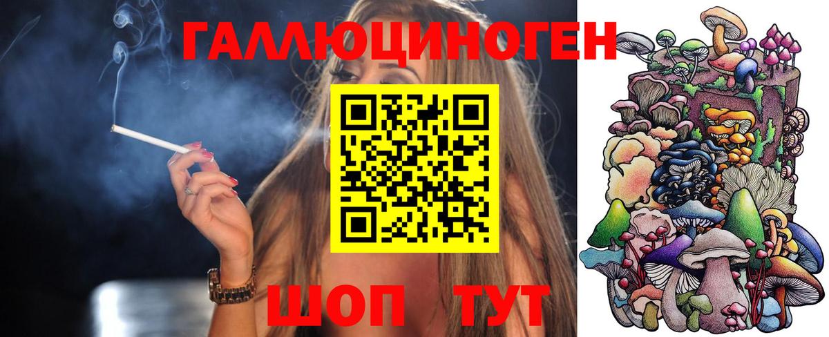Псилоцибиновые грибы GOLDEN TEACHER Кудрово