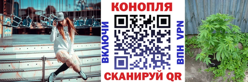 Марихуана индика Кудрово